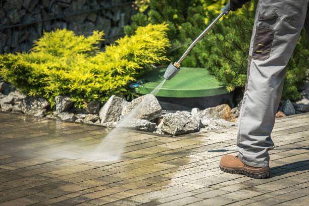 Best Roof Washing  in Guttenberg, NJ
